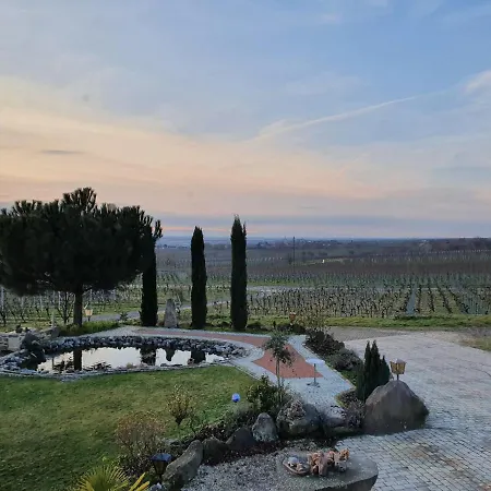 Weinhaus Paradies *