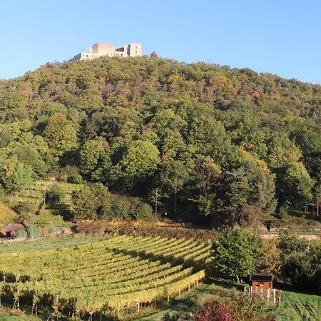 Oda ve Kahvaltı Weinhaus Paradies Neustadt an der Weinstraße