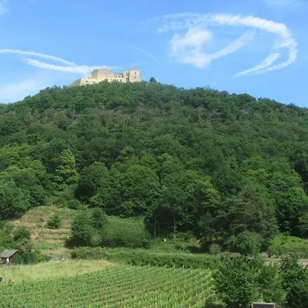 Weinhaus Paradies 3*