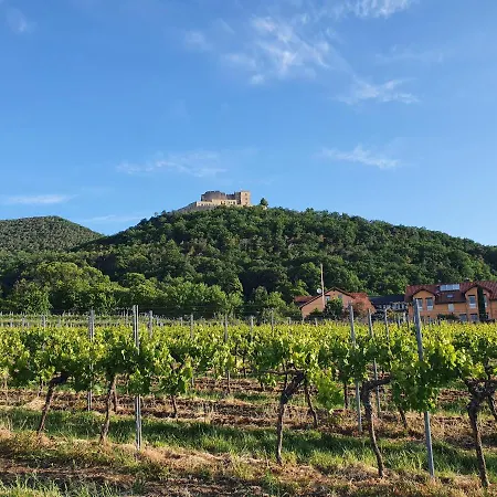 Weinhaus Paradies Bed & Breakfast