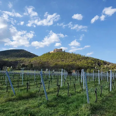 Oda ve Kahvaltı Weinhaus Paradies Neustadt an der Weinstraße
