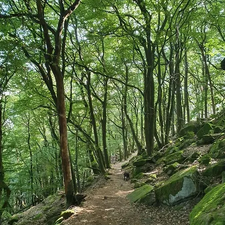 Weinhaus Paradies 3* Neustadt an der Weinstraße