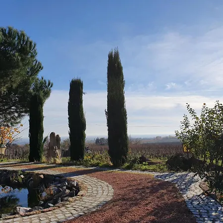 Oda ve Kahvaltı Weinhaus Paradies