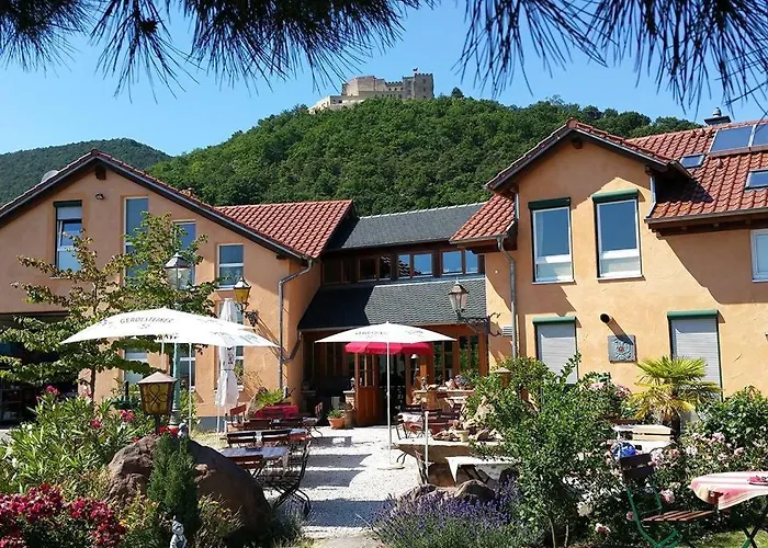 Alojamento de Acomodação e Pequeno-almoço Weinhaus Paradies Neustadt an der Weinstraße