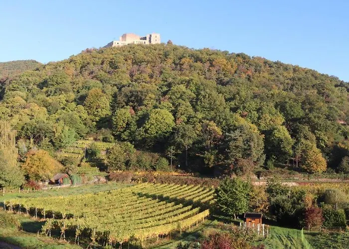 住宿加早餐酒店 Weinhaus Paradies Neustadt an der Weinstraße