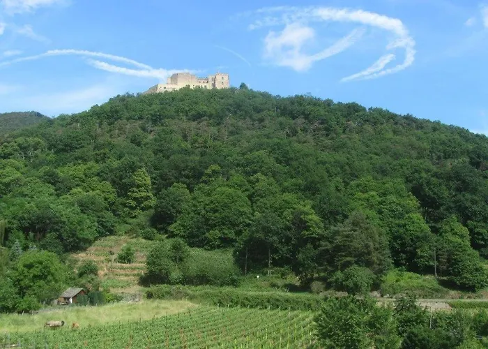 Weinhaus Paradies 3*