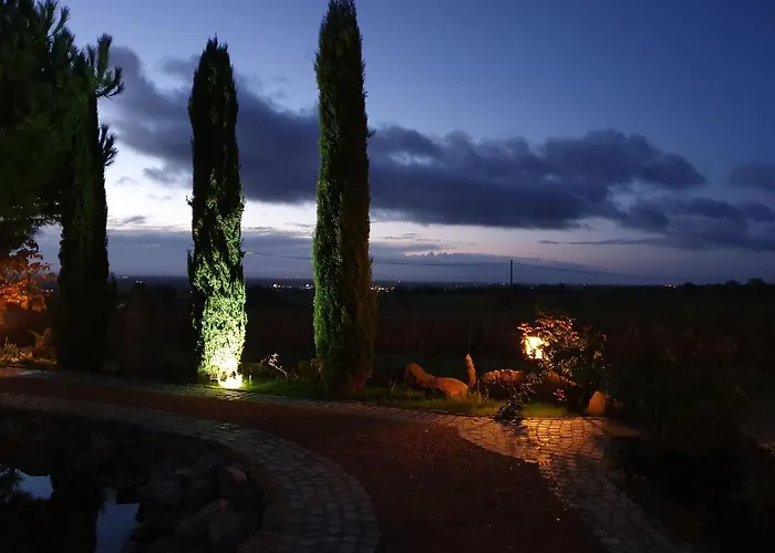 Oda ve Kahvaltı Weinhaus Paradies Neustadt an der Weinstraße