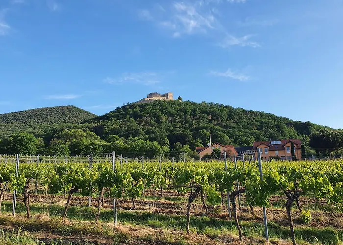 Weinhaus Paradies Alojamento de Acomodação e Pequeno-almoço