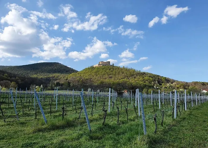 Oda ve Kahvaltı Weinhaus Paradies Neustadt an der Weinstraße