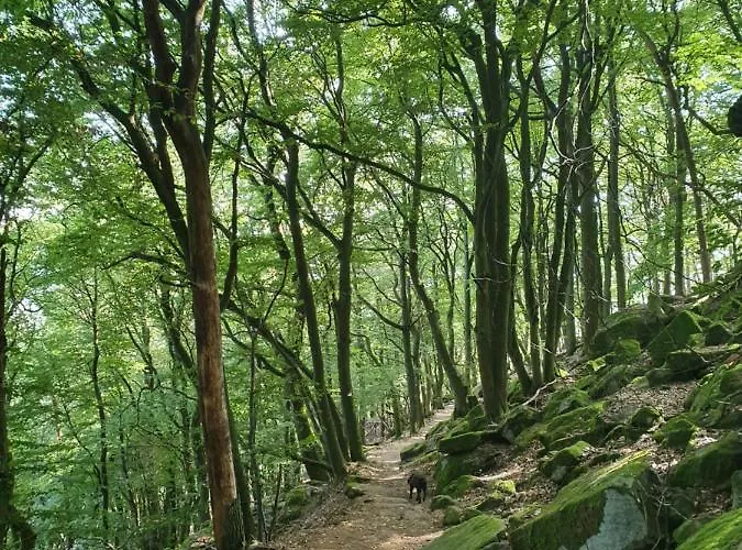 Weinhaus Paradies 3* Neustadt an der Weinstraße