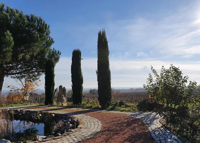 Oda ve Kahvaltı Weinhaus Paradies